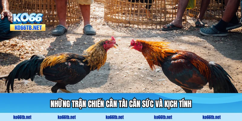 Giải đấu C2 với những trận chiến cân tài cân sức và kịch tính