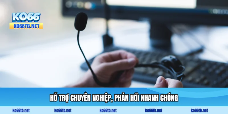 Hỗ trợ KO66 chuyên nghiệp, phản hồi nhanh chóng