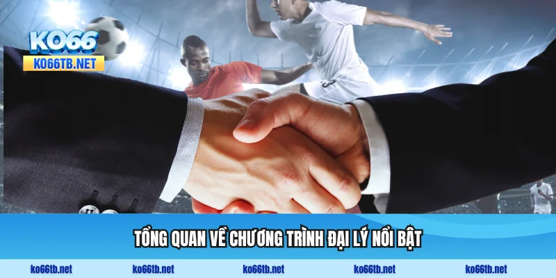 Tổng quan về chương trình đại lý nổi bật